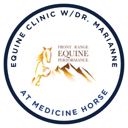 Equine Wellness Clinic - logo